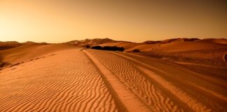 Jak sprawdzić ukształtowanie terenu?