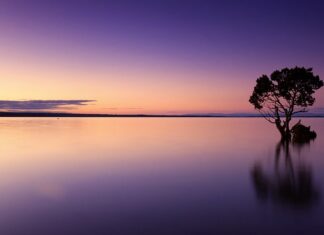 Ile powinno być wody w zbiorniku hydroforowym?