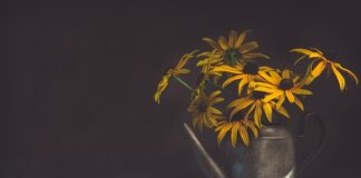 Jaka pompa do podlewania ogrodu ze zbiornika?