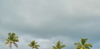 Co można posadzić na szambie?