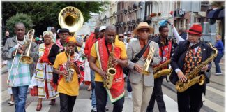 Czy opłaca się ogrzewać dom pelletem?