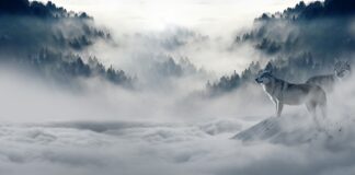 Co zrobić z woda z basenu na zimę?