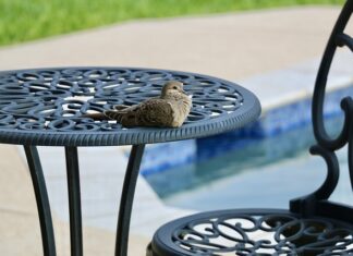 Ile wody powinno być w basenie Bestway?