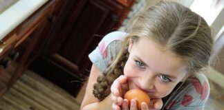 Jak wybrać kitchen Helper?