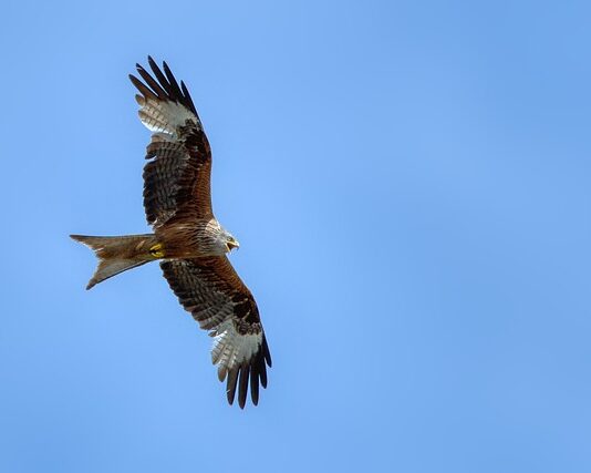 Co oznacza D400? Co oznacza D400?